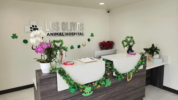 Los Olivos Animal Hospital Upland, Urgent care & Daily routine 12