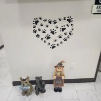 Los Olivos Animal Medical Center Upland, Emergency care ico