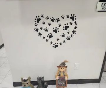 Los Olivos Animal Medical Center Upland, Emergency care