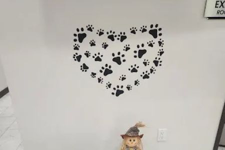 Los Olivos Animal Medical Center Upland, Emergency care