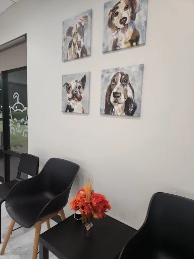 Los Olivos Animal Medical Center Upland, Emergency care 12