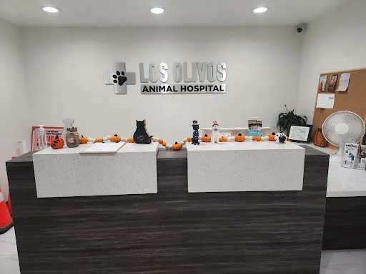 Los Olivos Animal Medical Center Upland, Emergency care 12