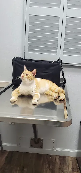 Inland Animal Hospital 12