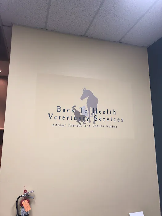 Back To Health Veterinary Services 12