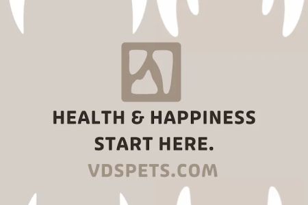 Veterinary Dental Specialties and Oral Surgery
