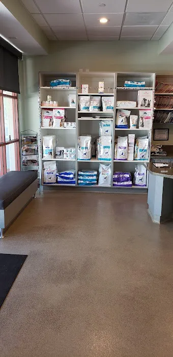 Animal Dermatology Clinic 12