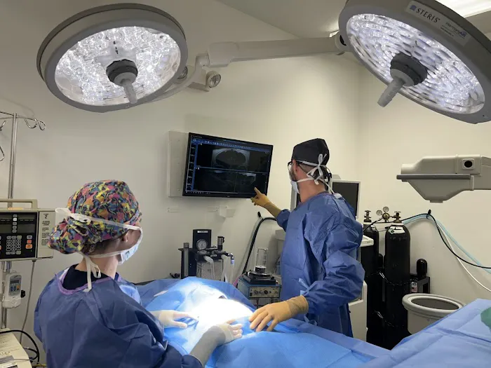 VCA California Veterinary Specialists-Ontario 12