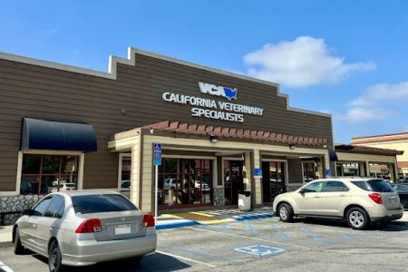 VCA California Veterinary Specialists-Ontario