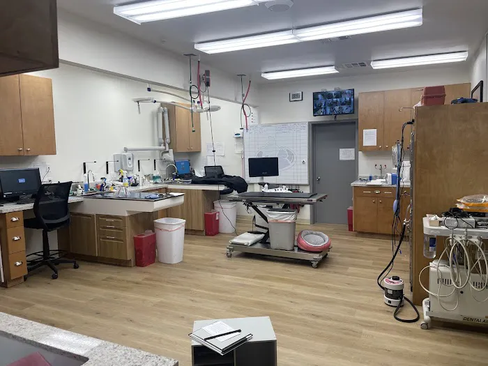 Upland Animal Hospital 12