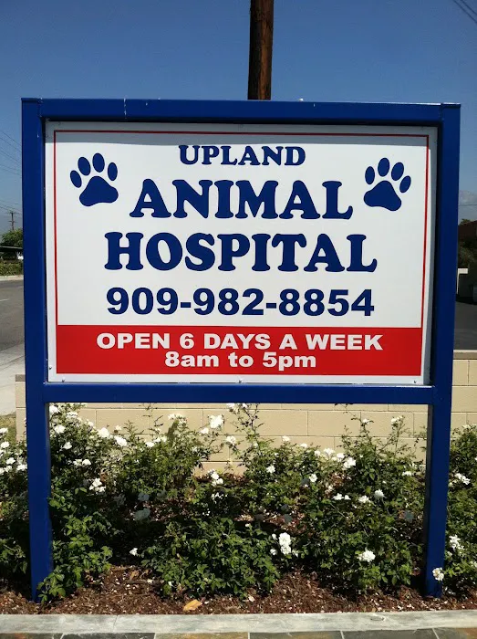 Upland Animal Hospital 12