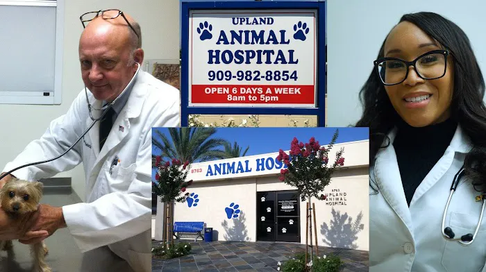 Upland Animal Hospital 12