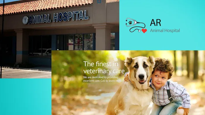 A R Animal Hospital 6