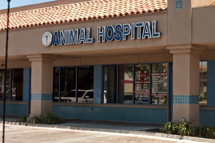 A R Animal Hospital 3