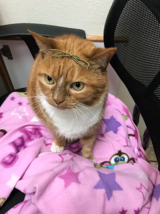 A R Animal Hospital 8