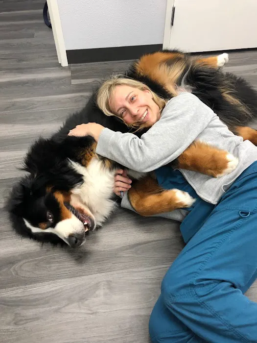 Veterinary Eye Institute Upland 12
