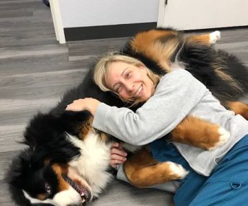 Veterinary Eye Institute Upland