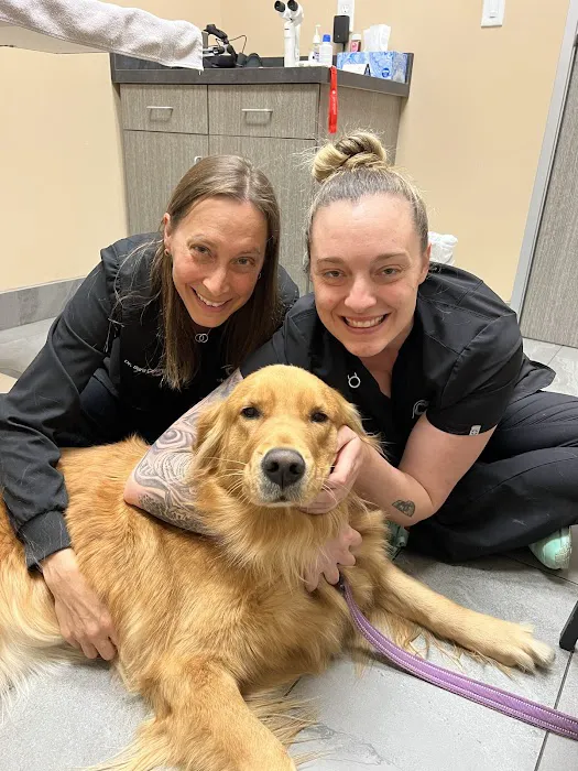Veterinary Eye Institute Upland 12