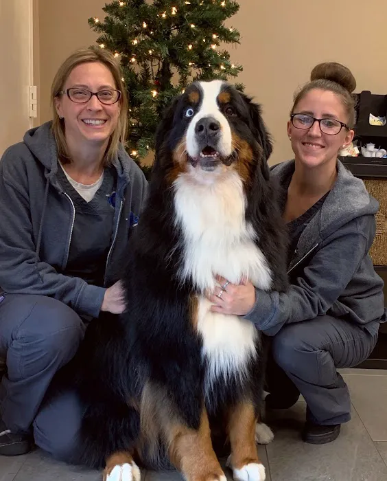 Veterinary Eye Institute Upland 12