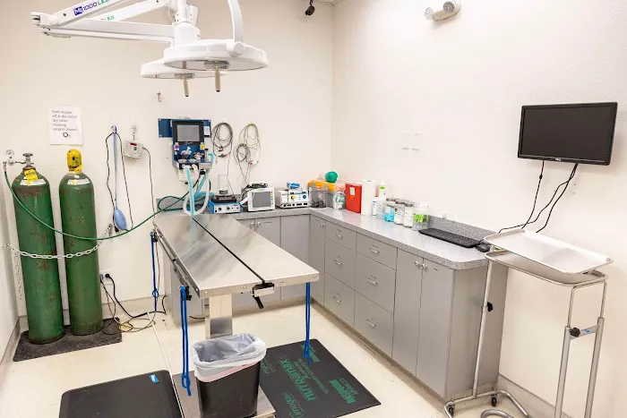 Pet Time Animal Hospital 12