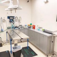 Pet Time Animal Hospital ico