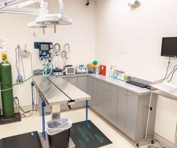 Pet Time Animal Hospital