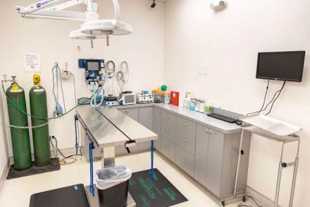 Pet Time Animal Hospital