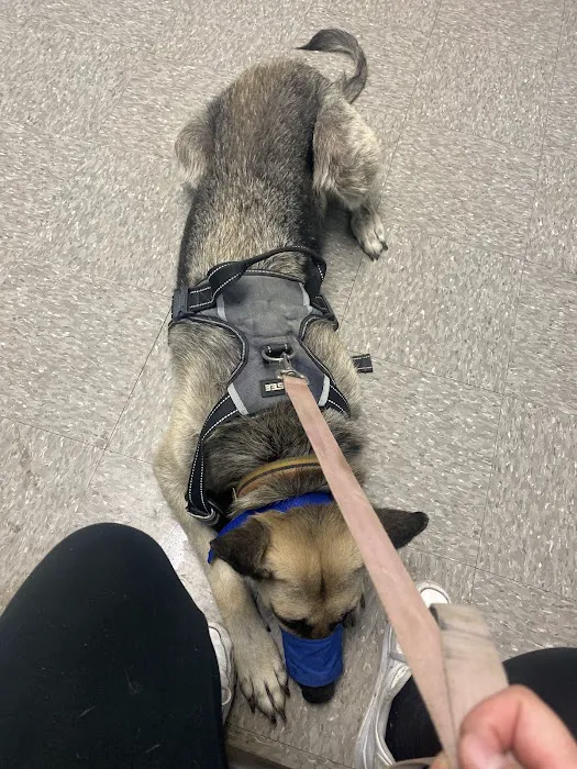 Pet Time Animal Hospital 12