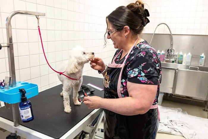 Pet Time Animal Hospital 12