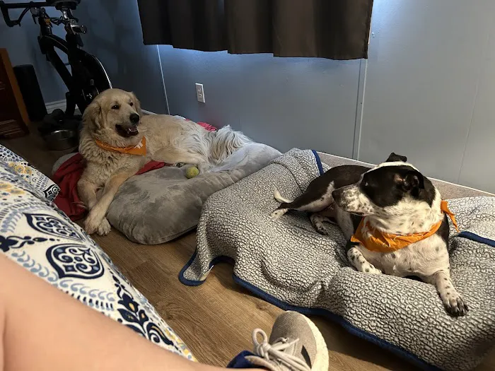 Banfield Pet Hospital 12