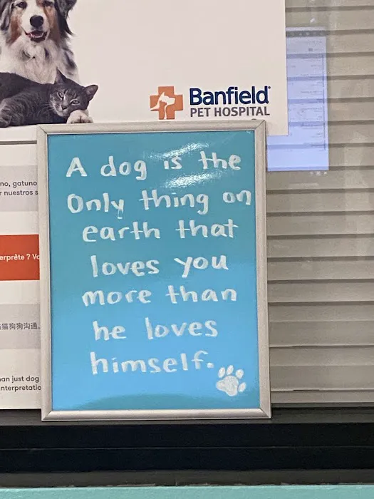 Banfield Pet Hospital 12