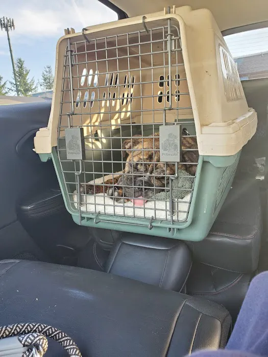 Cedardale Veterinary Clinic 6