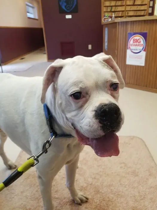 Cedardale Veterinary Clinic 1