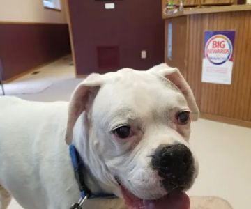 Cedardale Veterinary Clinic