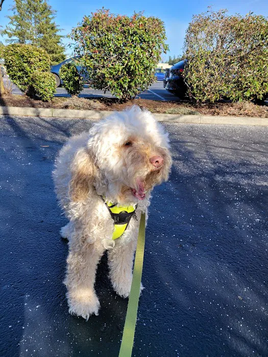 Banfield Pet Hospital 12
