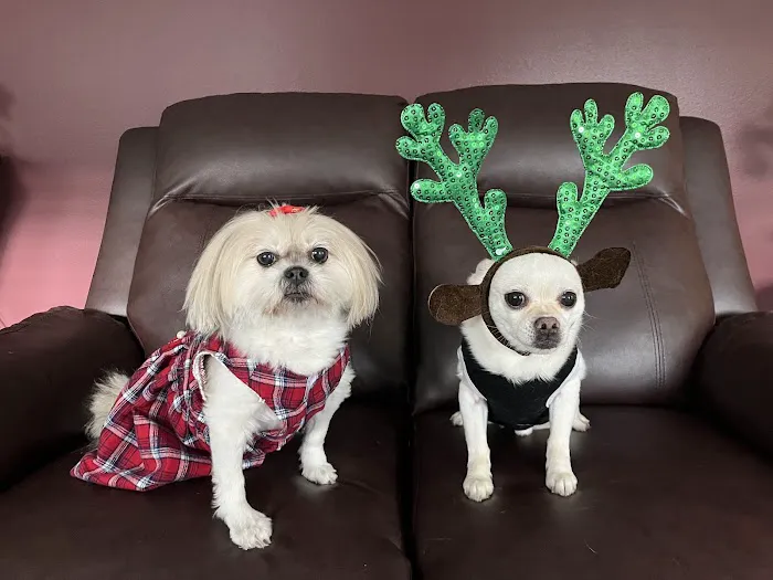Banfield Pet Hospital 12