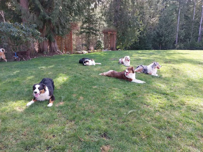 VCA Central Kitsap Animal Hospital 12