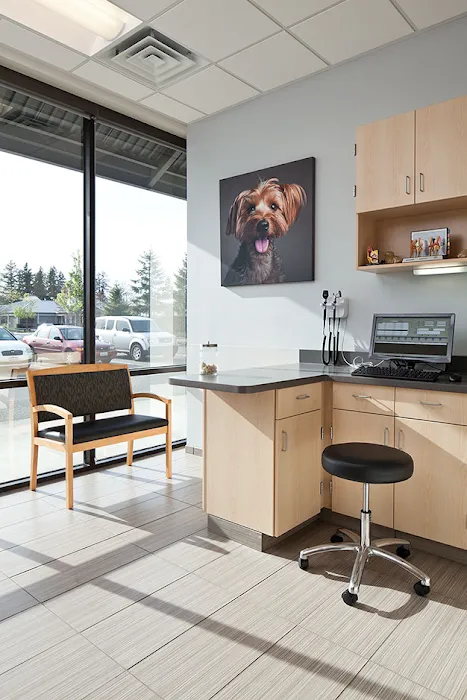 VCA Central Kitsap Animal Hospital 12