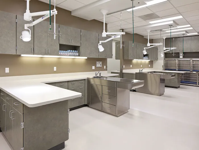 VCA Central Kitsap Animal Hospital 12