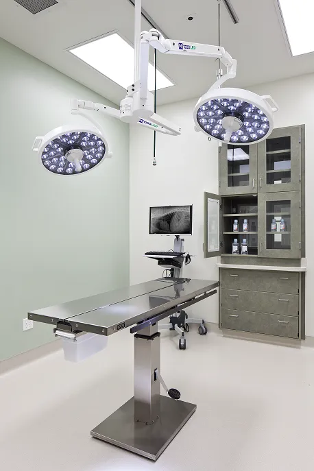 VCA Central Kitsap Animal Hospital 12
