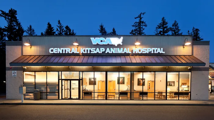 VCA Central Kitsap Animal Hospital 12
