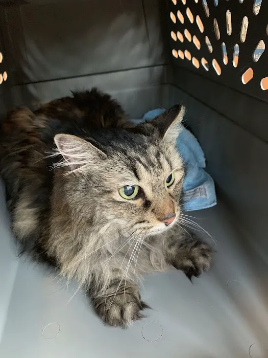 Winslow Animal Clinic 12