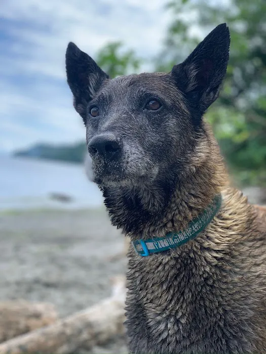 Alder Trail Animal Hospital 12