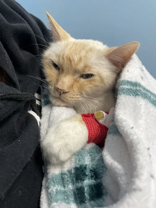 Sumner Veterinary Hospital 12