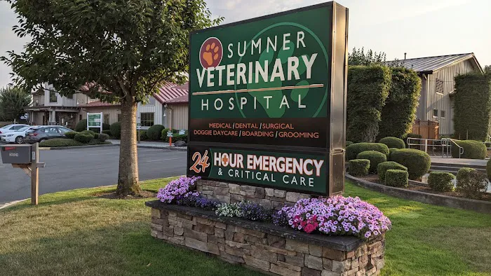 Sumner Veterinary Hospital 12