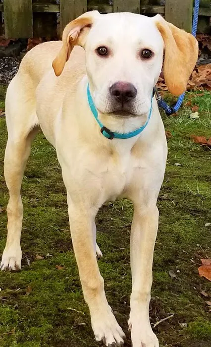 Sumner Veterinary Hospital 12