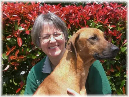 Puyallup Valley Veterinary Clinic 12
