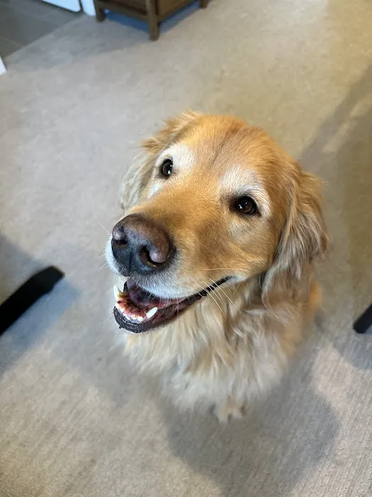 Lake Tapps Veterinary Hospital 12
