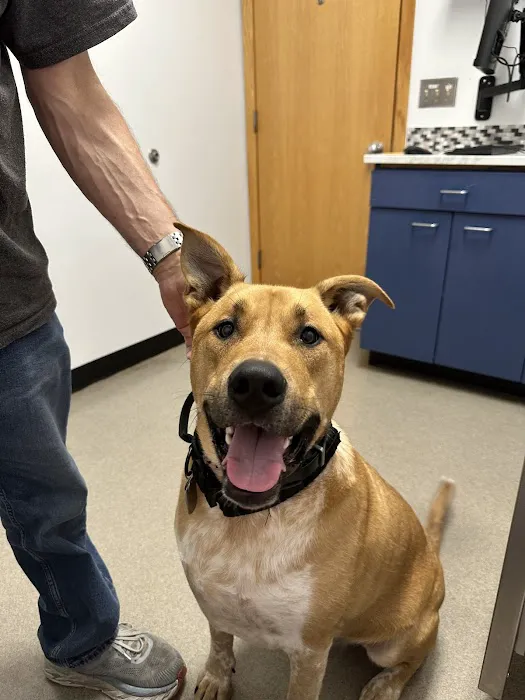Lake Tapps Veterinary Hospital 12