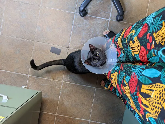 Enumclaw Veterinary Hospital 8