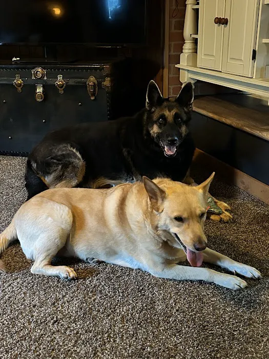 Buckley Veterinary Hospital 12